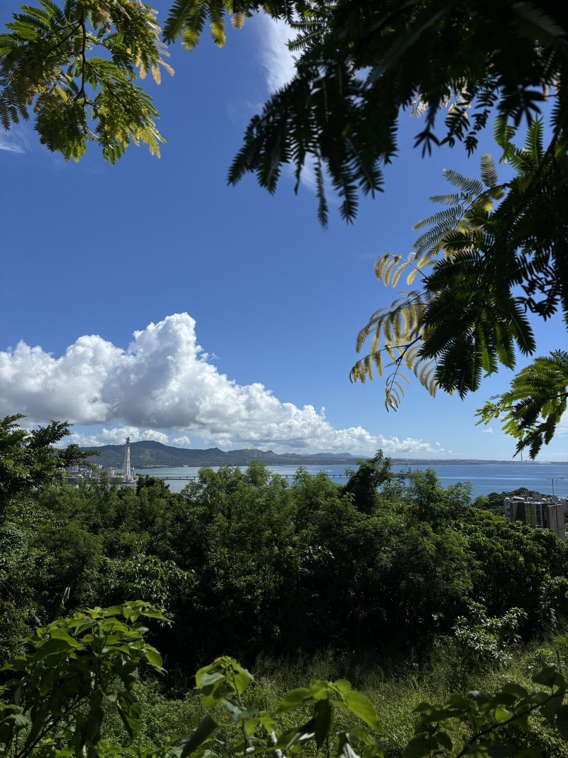 Ocean view from the studio