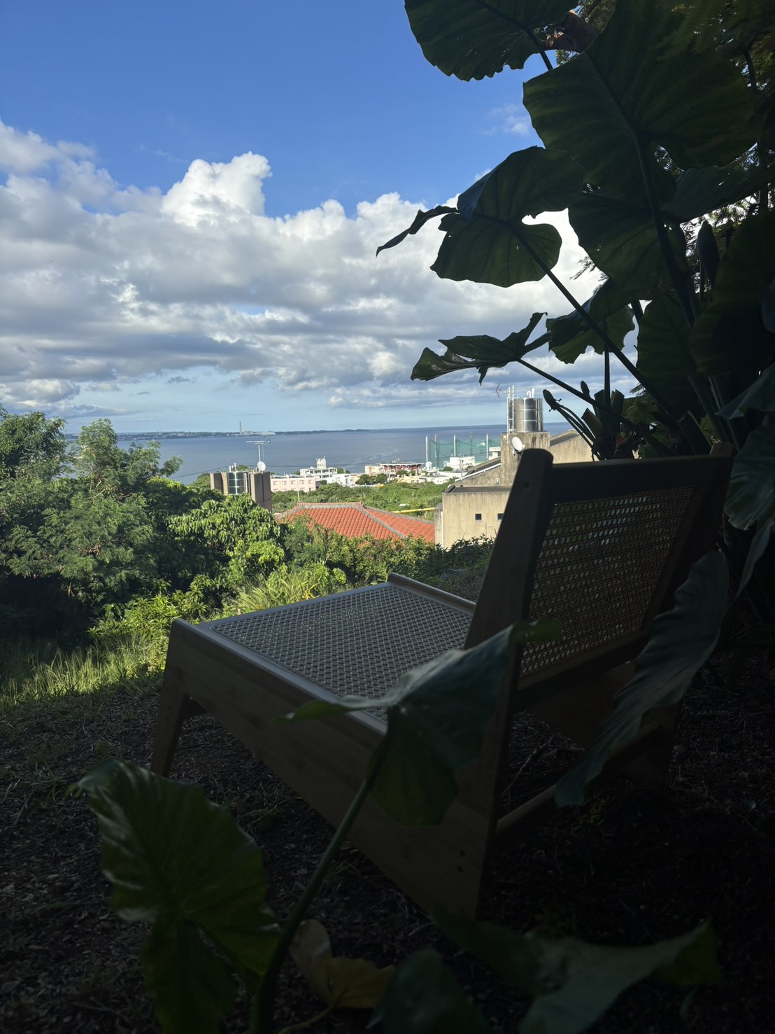 Terrace overlooking the sea
